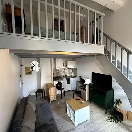 Centre - Gare Matabiau - Grand Duplex דירה