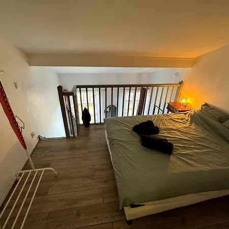 Centre - Gare Matabiau - Grand Duplex *