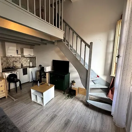 Centre - Gare Matabiau - Grand Duplex Appartement Toulouse