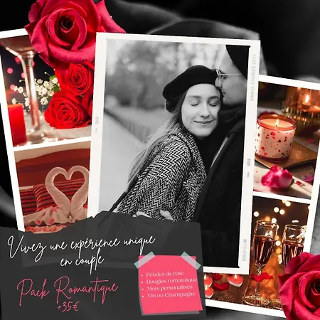 Centre - Gare Matabiau - Grand Duplex Appartement *